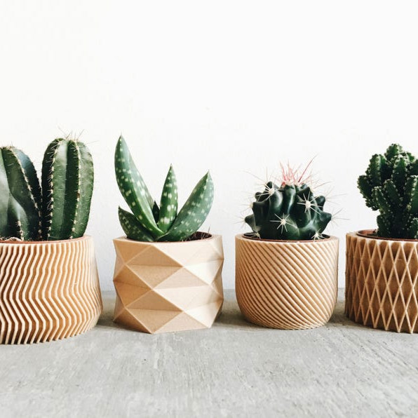 best indoor planters