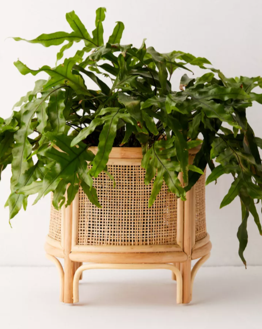 best indoor planters