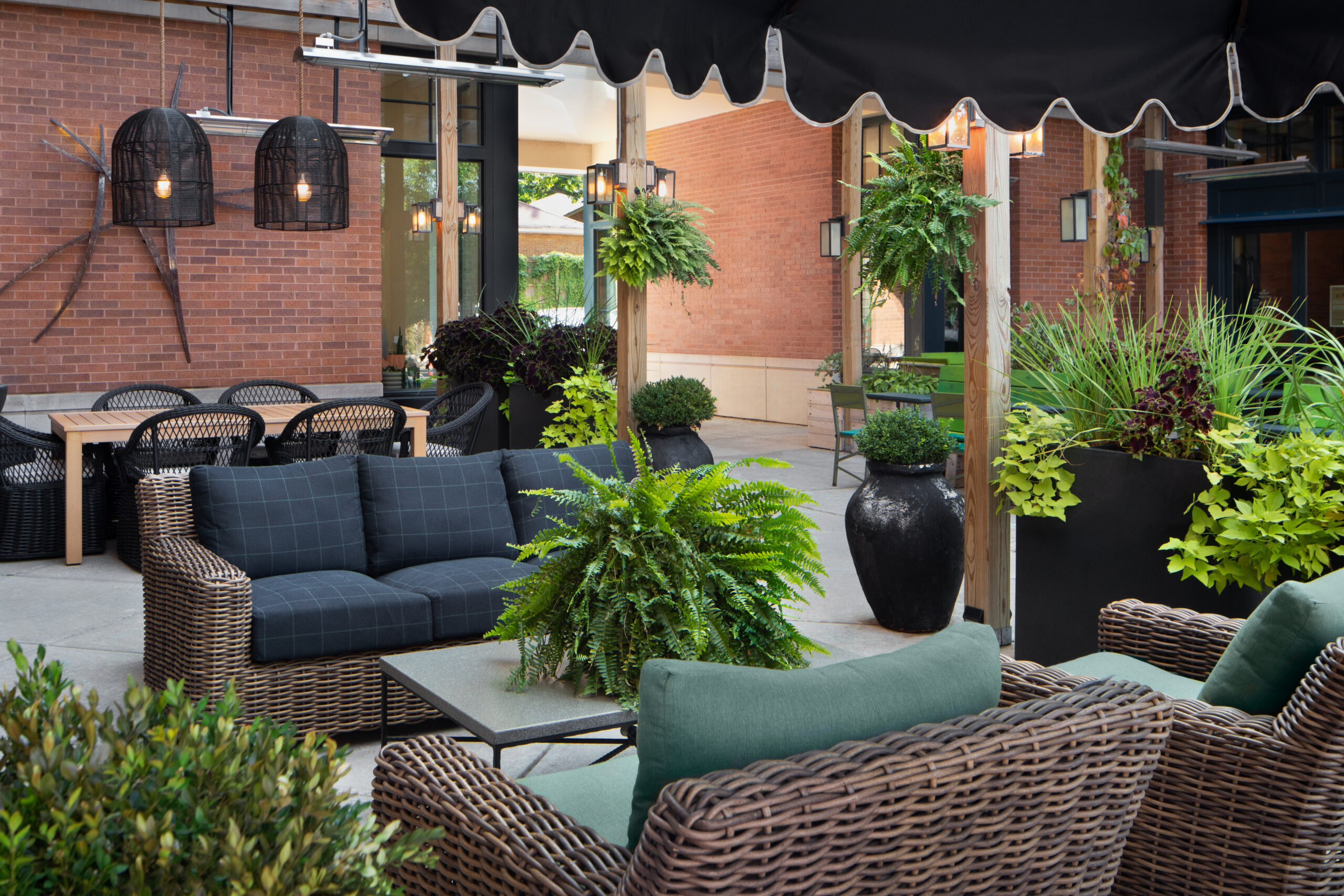A patio with high-quality outdoor furniture surrounded by lush ferns and greenery.